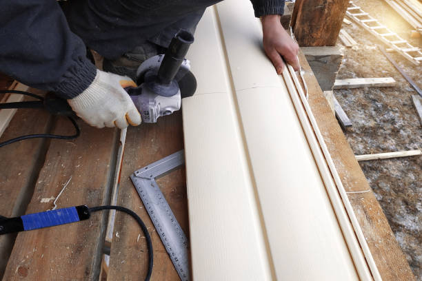 Best Vinyl Siding Installation  in Basalt, CO