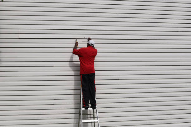 Best Siding Painting and Refinishing  in Basalt, CO