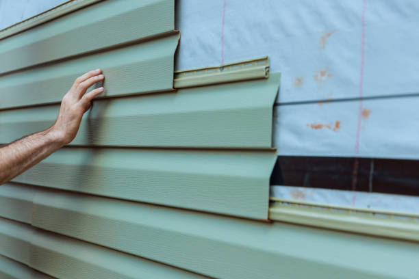 Best Fascia and Soffit Installation  in Basalt, CO